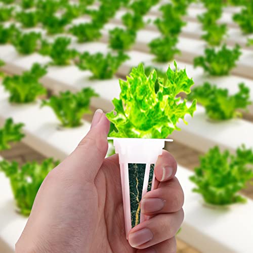 50 Sets Hydroponic Grow Basket, Plant Pod Kit Plant Growing Container with Transparent Insulation Domes, Replacement Grow Baskets, Hydroponic Garden Accessories(Size:4.4x1.3x6.5cm)