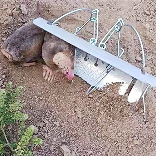 DSQSTMR Mole Traps That Work Gopher Squirrel Spring Best Rat Trap Outdoor Vole for Lawns Easy Reusable Smart Snare Trapping