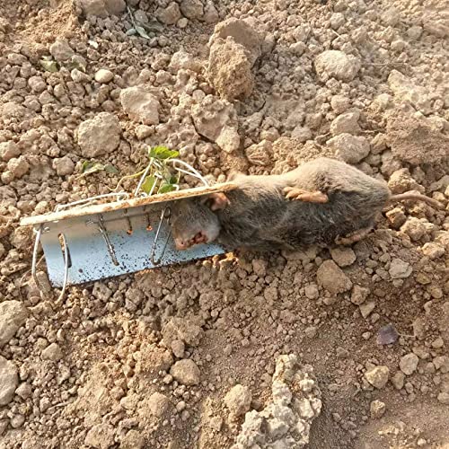 DSQSTMR Mole Traps That Work Gopher Squirrel Spring Best Rat Trap Outdoor Vole for Lawns Easy Reusable Smart Snare Trapping