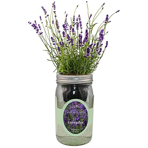 Environet Hydroponic Herb Growing Kit, Self-Watering Mason Jar Herb Garden Starter Kit Indoor, Windowsill Herb Garden, Grow Your Own Herbs from Organic Seeds (Lavender)