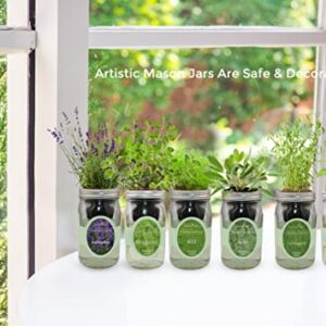 Environet Hydroponic Herb Growing Kit, Self-Watering Mason Jar Herb Garden Starter Kit Indoor, Windowsill Herb Garden, Grow Your Own Herbs from Organic Seeds (Lavender)