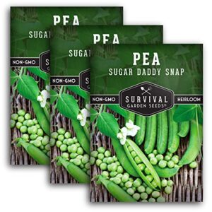survival garden seeds – sugar daddy snap pea seed for planting – 2 packs with instructions to plant and grow in delicious pea pods your home vegetable garden – non-gmo heirloom variety