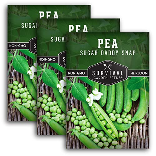 Survival Garden Seeds - Sugar Daddy Snap Pea Seed for Planting - 2 Packs with Instructions to Plant and Grow in Delicious Pea Pods Your Home Vegetable Garden - Non-GMO Heirloom Variety