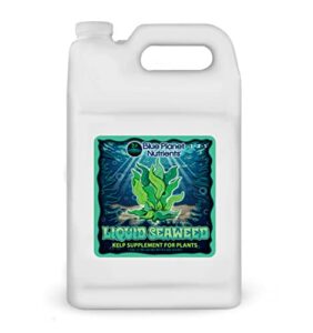 liquid seaweed for plants (128 oz) gallon | concentrated liquid kelp supplement | makes up to 1,890 gallons | for all plants & gardens | blue planet nutrients