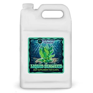 Liquid Seaweed for Plants (128 oz) Gallon | Concentrated Liquid Kelp Supplement | Makes UP to 1,890 GALLONS | for All Plants & Gardens | Blue Planet Nutrients