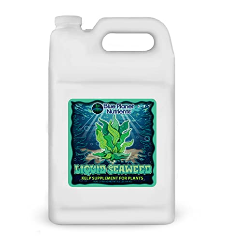 Liquid Seaweed for Plants (128 oz) Gallon | Concentrated Liquid Kelp Supplement | Makes UP to 1,890 GALLONS | for All Plants & Gardens | Blue Planet Nutrients