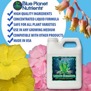 Liquid Seaweed for Plants (128 oz) Gallon | Concentrated Liquid Kelp Supplement | Makes UP to 1,890 GALLONS | for All Plants & Gardens | Blue Planet Nutrients