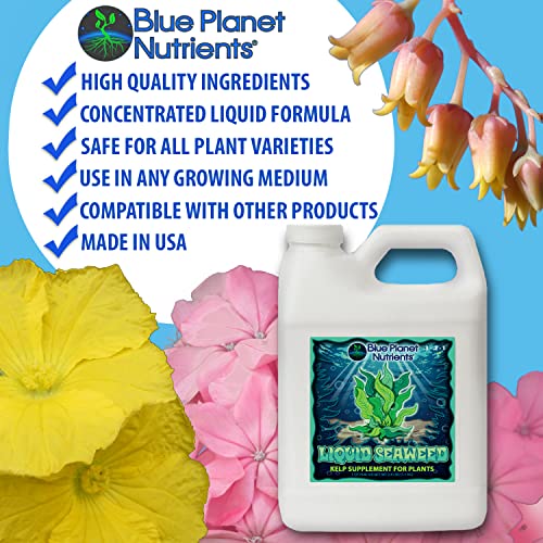 Liquid Seaweed for Plants (128 oz) Gallon | Concentrated Liquid Kelp Supplement | Makes UP to 1,890 GALLONS | for All Plants & Gardens | Blue Planet Nutrients