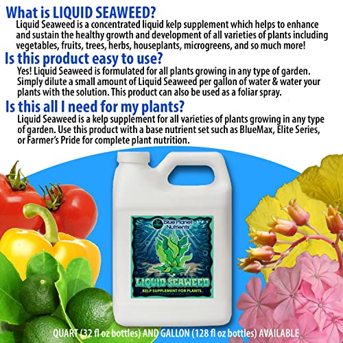 Liquid Seaweed for Plants (128 oz) Gallon | Concentrated Liquid Kelp Supplement | Makes UP to 1,890 GALLONS | for All Plants & Gardens | Blue Planet Nutrients