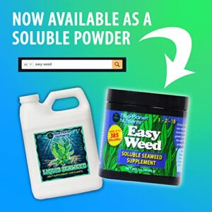 Liquid Seaweed for Plants (128 oz) Gallon | Concentrated Liquid Kelp Supplement | Makes UP to 1,890 GALLONS | for All Plants & Gardens | Blue Planet Nutrients