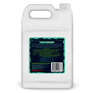 Liquid Seaweed for Plants (128 oz) Gallon | Concentrated Liquid Kelp Supplement | Makes UP to 1,890 GALLONS | for All Plants & Gardens | Blue Planet Nutrients