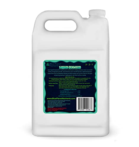 Liquid Seaweed for Plants (128 oz) Gallon | Concentrated Liquid Kelp Supplement | Makes UP to 1,890 GALLONS | for All Plants & Gardens | Blue Planet Nutrients