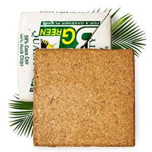 bee green coco coir brick, pure coco peat, all natural potting soil for house plants, plant soil substitute for peat moss and perlite, 1 kilogram
