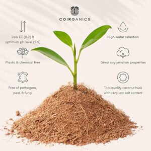 Bee Green Coco Coir Brick, Pure Coco Peat, All Natural Potting Soil for House Plants, Plant Soil Substitute for Peat Moss and Perlite, 1 Kilogram