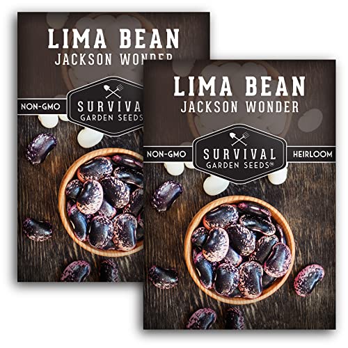 Survival Garden Seeds - Jackson Wonder Lima Seed for Planting - 2 Packs with Instructions to Plant and Grow Purple Speckled Butter Beans in Your Home Vegetable Garden - Non-GMO Heirloom Variety