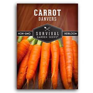 survival garden seeds – danvers carrot seed for planting – packet with instructions to plant and grow long storing deep orange carrots in your home vegetable garden – non-gmo heirloom variety