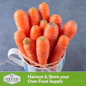 Survival Garden Seeds - Danvers Carrot Seed for Planting - Packet with Instructions to Plant and Grow Long Storing Deep Orange Carrots in Your Home Vegetable Garden - Non-GMO Heirloom Variety