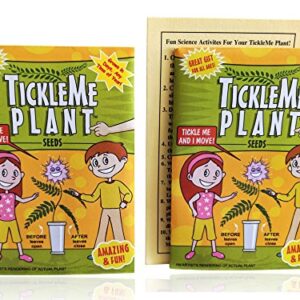 TickleMe Plant Seeds Packets (2) Party Favor! Leaves Fold Together When You Tickle It. Great Science Fun, Easy to Grow Indoors. It Can Flower. Include 10 Activities. Re-Opens in Minutes!