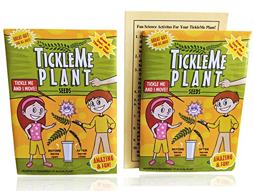 TickleMe Plant Seeds Packets (2) Party Favor! Leaves Fold Together When You Tickle It. Great Science Fun, Easy to Grow Indoors. It Can Flower. Include 10 Activities. Re-Opens in Minutes!