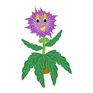 TickleMe Plant Seeds Packets (2) Party Favor! Leaves Fold Together When You Tickle It. Great Science Fun, Easy to Grow Indoors. It Can Flower. Include 10 Activities. Re-Opens in Minutes!