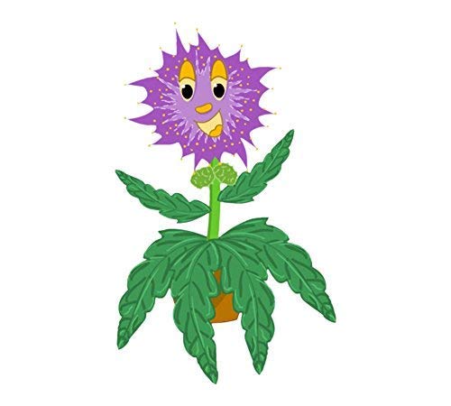 TickleMe Plant Seeds Packets (2) Party Favor! Leaves Fold Together When You Tickle It. Great Science Fun, Easy to Grow Indoors. It Can Flower. Include 10 Activities. Re-Opens in Minutes!