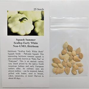 David's Garden Seeds Squash Summer Scallop Early White FBA-1195 (White) 25 Non-GMO, Heirloom Seeds