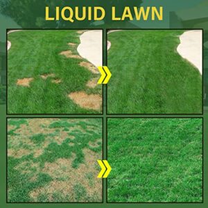 Liquid Seeding Grass Lawn Green Spray, Liquid Grass Seed, Garden Lawn Liquid Spray, Green Grass Lawn Spray, Seed Care Watering Set (5pc)