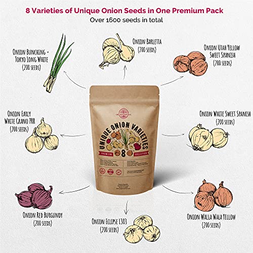 10 Carrot & 8 Onion Seeds Variety Packs Bundle Non-GMO Heirloom Seeds for Planting Indoor and Outdoor Over 5200 Carrot & Onion Seeds in One Value Bundle