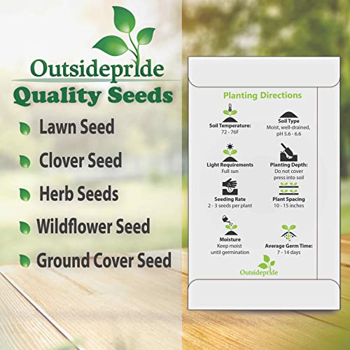 Outsidepride Shock Wave Spreading Denim Spreading Garden Flowers for Hanging Baskets, Pots, Containers, Beds - 30 Seeds