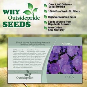 Outsidepride Shock Wave Spreading Denim Spreading Garden Flowers for Hanging Baskets, Pots, Containers, Beds - 30 Seeds