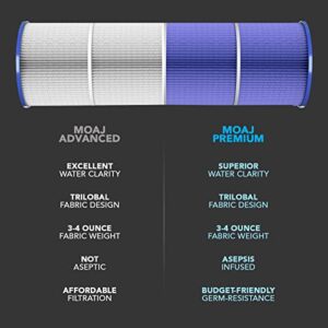 MOAJ Premium Spa Filter 2-Pack Replaces Pentair Dynamic 35, R173431, 17-2482, Guardian 409-219, Filbur FC-2385, Unicel C-4335, Waterway in-Line 35, 817-3501 | 9 1/4" x 5" | Asepsis-Infused Filtration