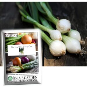 tokyo long white bunching onion seeds for planting, 300+ heirloom seeds per packet, (isla’s garden seeds), non gmo seeds, botanical name: allium fistulosum, garden gift!