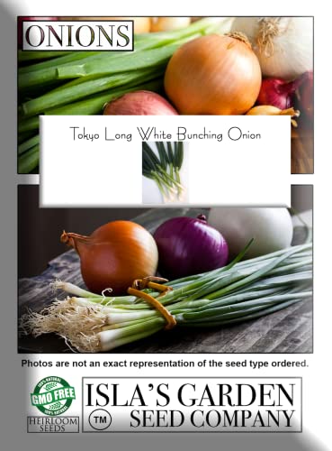 Tokyo Long White Bunching Onion Seeds for Planting, 300+ Heirloom Seeds Per Packet, (Isla's Garden Seeds), Non GMO Seeds, Botanical Name: Allium fistulosum, Garden Gift!