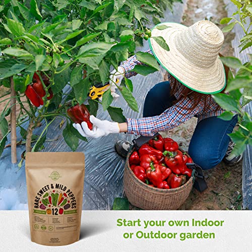12 Rare Sweet & Mild Pepper Seeds Variety Pack for Planting Indoor & Outdoors. 600+ Non-GMO Pepper Garden Seeds: California Wonder Bell, Anaheim, Cubanelle, Pepperoncini, Banana Peppers & More