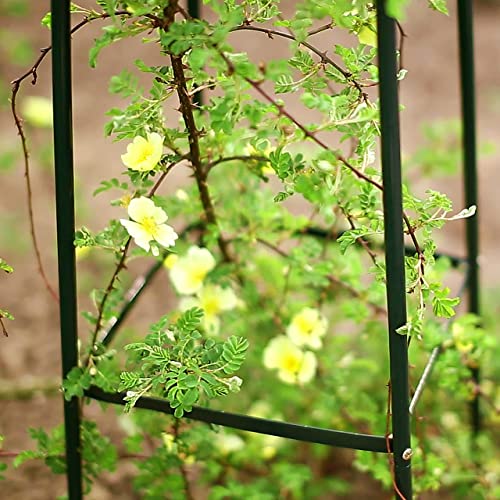 Relaxdays Obelisk Climbing Plant Support Garden Trellis 200cm, Green