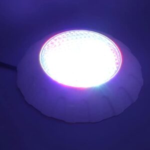 Hoopoocolor LED Pool Lights with Remote, 108 Lamp Beads, IP68 Waterproof, Engineering Grade Chips, RGB Colorful Energy Saving Pool Lamp for Pond, Garden, Party(DC12V/38W)