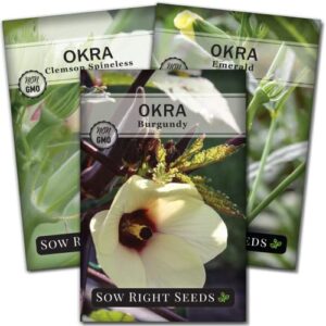 Sow Right Seeds - Okra Seed Collection for Planting - Burgundy, Clemson, and Emerald Varieties Non-GMO Heirloom Packet with Instructions to Plant a Home Vegetable Garden - Great Gardening Gift