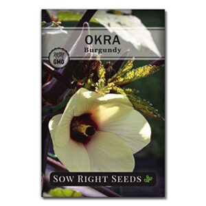 Sow Right Seeds - Okra Seed Collection for Planting - Burgundy, Clemson, and Emerald Varieties Non-GMO Heirloom Packet with Instructions to Plant a Home Vegetable Garden - Great Gardening Gift