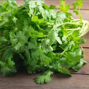 800+ Coriander Seeds for Planting Herb Seeds Collection for Your Indoor Herb Garden