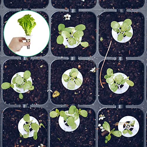 101pcs Seed Pod Kit, Grow Anything Kit Hydroponic Seed Kit Hydroponics Garden Accessories with 20 Grow Baskets, 20 Transparent Insulation Lids, 40 Grow Sponges, 20 Plant Labels