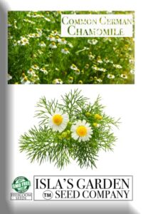 “common german chamomile” flower/herb seeds for planting, 1000+ seeds per packet, (isla’s garden seeds), non gmo & heirloom seeds, botanical name: matricaria chamomilla, great herb garden gift