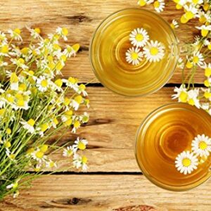 "Common German Chamomile" Flower/Herb Seeds for Planting, 1000+ Seeds Per Packet, (Isla's Garden Seeds), Non GMO & Heirloom Seeds, Botanical Name: Matricaria chamomilla, Great Herb Garden Gift