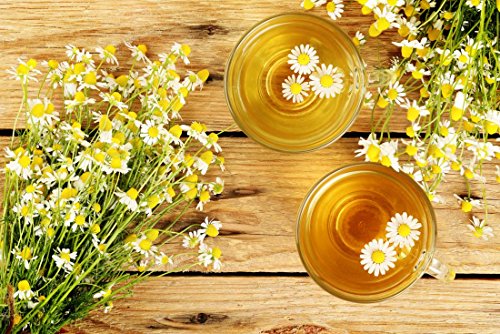 "Common German Chamomile" Flower/Herb Seeds for Planting, 1000+ Seeds Per Packet, (Isla's Garden Seeds), Non GMO & Heirloom Seeds, Botanical Name: Matricaria chamomilla, Great Herb Garden Gift