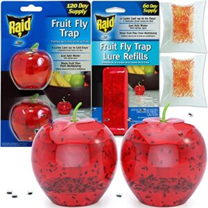 fruit fly traps for indoors by raid | 2 lures + 2 refills | effective fruit fly trap for indoor use | fruit fly killer & gnat traps for house indoor | easy to use & safe food-based lure fly catcher