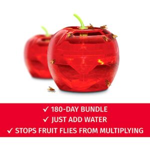 Fruit Fly Traps for Indoors by Raid | 2 Lures + 2 Refills | Effective Fruit Fly Trap for Indoor Use | Fruit Fly Killer & Gnat Traps for House Indoor | Easy to Use & Safe Food-Based Lure Fly Catcher