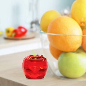 Fruit Fly Traps for Indoors by Raid | 2 Lures + 2 Refills | Effective Fruit Fly Trap for Indoor Use | Fruit Fly Killer & Gnat Traps for House Indoor | Easy to Use & Safe Food-Based Lure Fly Catcher