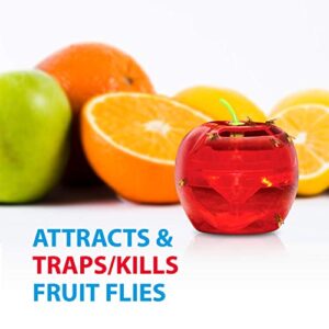 Fruit Fly Traps for Indoors by Raid | 2 Lures + 2 Refills | Effective Fruit Fly Trap for Indoor Use | Fruit Fly Killer & Gnat Traps for House Indoor | Easy to Use & Safe Food-Based Lure Fly Catcher