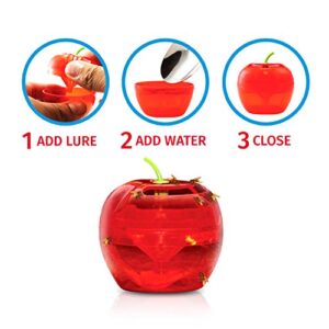 Fruit Fly Traps for Indoors by Raid | 2 Lures + 2 Refills | Effective Fruit Fly Trap for Indoor Use | Fruit Fly Killer & Gnat Traps for House Indoor | Easy to Use & Safe Food-Based Lure Fly Catcher