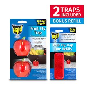 Fruit Fly Traps for Indoors by Raid | 2 Lures + 2 Refills | Effective Fruit Fly Trap for Indoor Use | Fruit Fly Killer & Gnat Traps for House Indoor | Easy to Use & Safe Food-Based Lure Fly Catcher