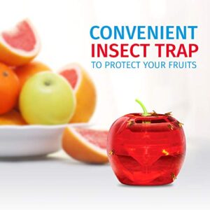 Fruit Fly Traps for Indoors by Raid | 2 Lures + 2 Refills | Effective Fruit Fly Trap for Indoor Use | Fruit Fly Killer & Gnat Traps for House Indoor | Easy to Use & Safe Food-Based Lure Fly Catcher